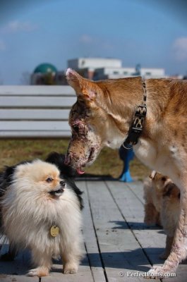 Apr5_08_198.JPG