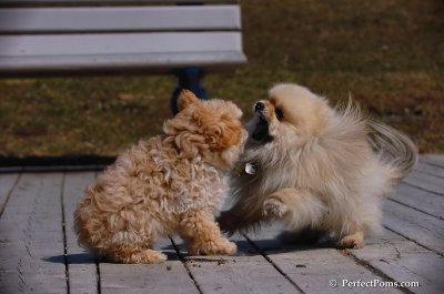 Apr5_08_203.JPG
