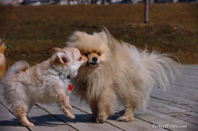 Apr5_08_211.JPG
