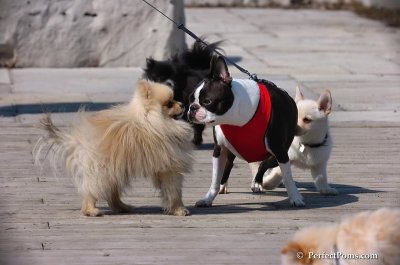 Apr5_08_230.JPG