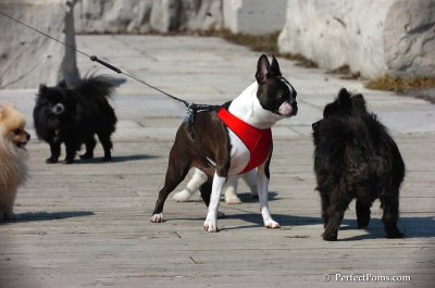 Apr5_08_231.JPG