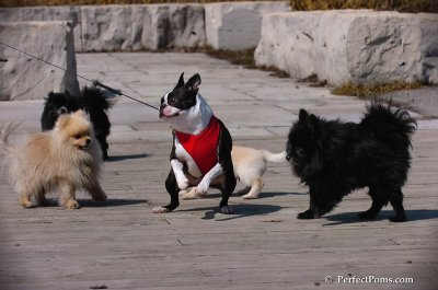 Apr5_08_232.JPG