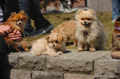 Apr7_08_088.JPG