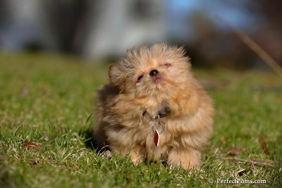 Apr14_08_270.jpg