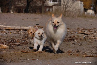 Apr15_08_754.jpg