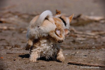 Apr15_08_166.jpg