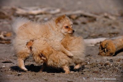 Apr15_08_208.jpg