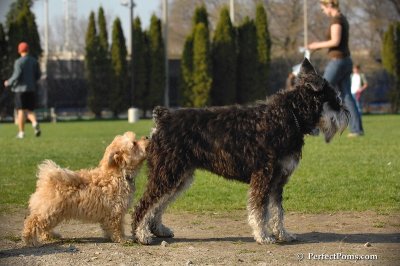 Apr21_08_118.JPG