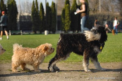 Apr21_08_119.JPG