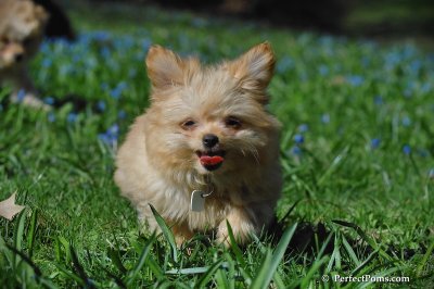 Apr22_08_197.JPG