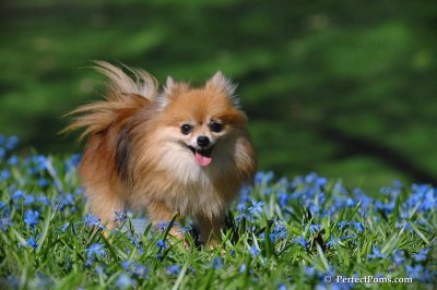 Apr22_08_201.JPG