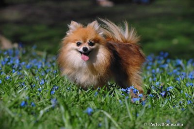 Apr22_08_208.JPG