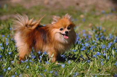 Apr22_08_110.JPG