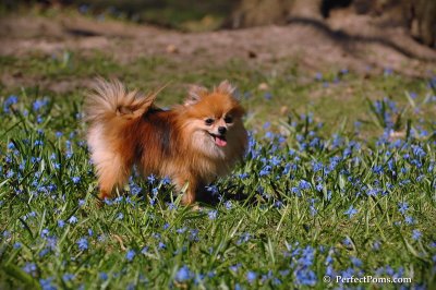 Apr22_08_111.JPG