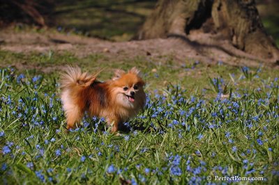 Apr22_08_112.JPG