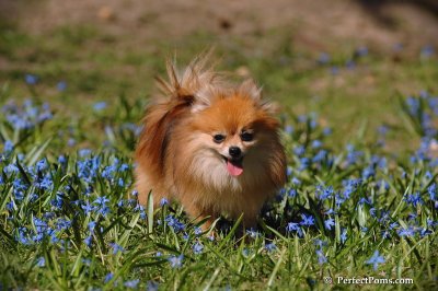 Apr22_08_113.JPG