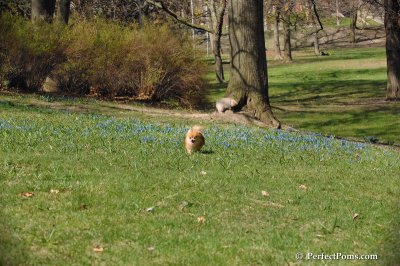 Apr22_08_141.JPG