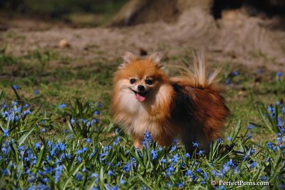 Apr22_08_151.jpg