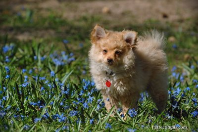 Apr22_08_160.jpg