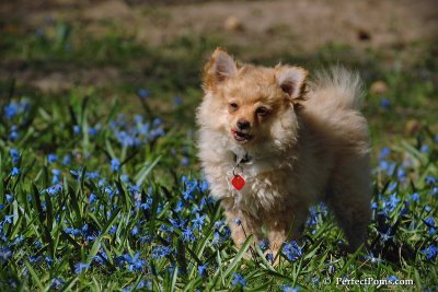 Apr22_08_161.jpg
