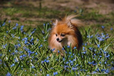 Apr22_08_163.jpg