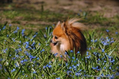 Apr22_08_164.jpg