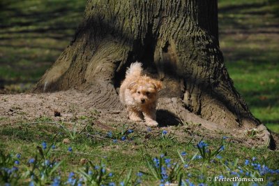 Apr22_08_165.JPG