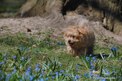 Apr22_08_167.jpg