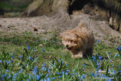 Apr22_08_168.jpg
