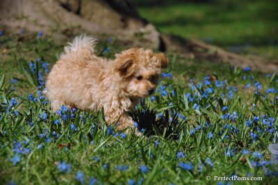 Apr22_08_169.JPG