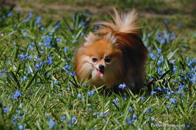 Apr22_08_173.JPG