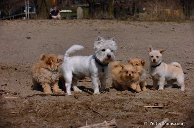 Apr17_08_017.JPG