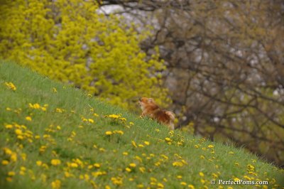 Apr27_08_250.JPG