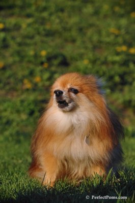 Apr29_08_268.JPG