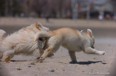Apr19_08_227.JPG