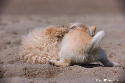 Apr19_08_111.jpg