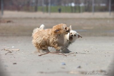 Apr19_08_122.jpg