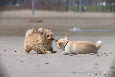 Apr19_08_130.jpg