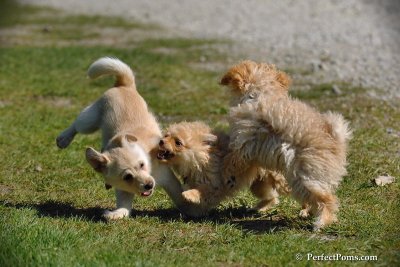 May4_08_263.JPG