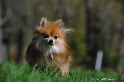 May4_08_279.JPG