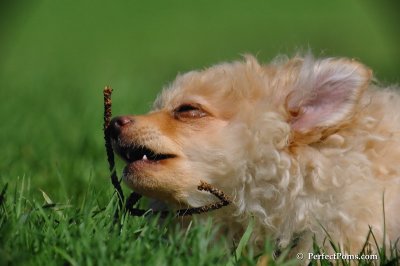 May4_08_317.JPG