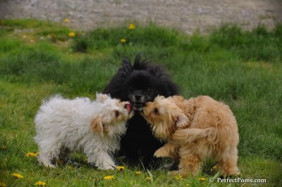 May9_08_232.JPG