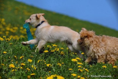 May9_08_093.JPG