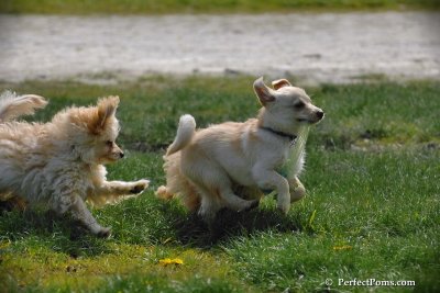 May9_08_113.jpg