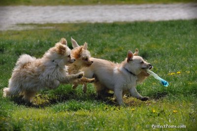 May9_08_116.JPG