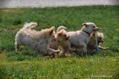 May9_08_117.JPG