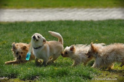 May9_08_120.JPG