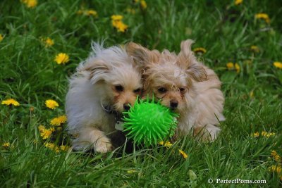 May9_08_162.jpg