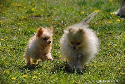 May9_08_022.jpg