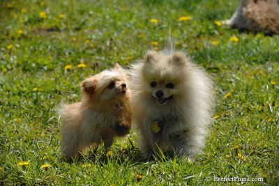 May9_08_023.jpg